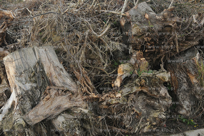 Eko Dolina Sp. z o. o. (dawniej Zaklad Unieszkodliwiania...