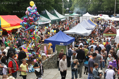 Zlota Gora k. Kartuz. Truskawkobranie to najwieksza...