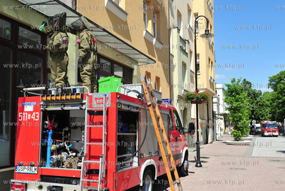 Sopot. Rog ulic Monte Cassino i Haffnera. Roj pszczol...