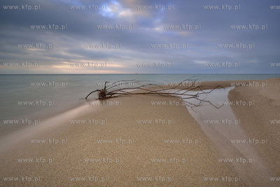 Plaza w Helu. 29.03.2015 Fot. Jan harb Sieminski/KFP