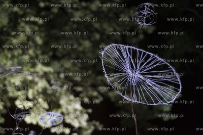 Wisłoujście - letnie święto muzyki elektronicznej...