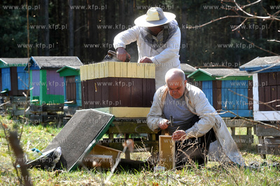 Sulmin. Pszczelarze podczas pracy w pasiece. 25.04.2009...