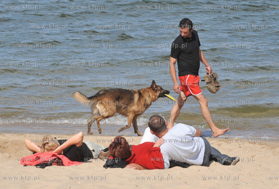 Gdansk Brzezno. Pies na plazy. 30.08.2009 Fot. Maciej...
