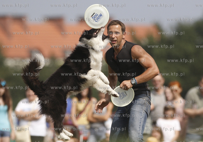 Sopot. Hipodrom. Zawody Frisbee - latajace psy za latajacym...
