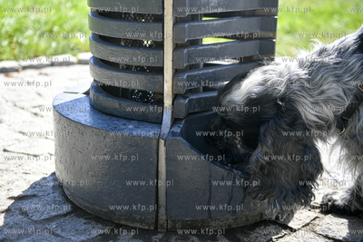 Poidełko - zdrój wodny na ul. Karpiej.  10.07.2024...