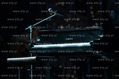 Opera Leśna. Top of the Top Sopot Festival. Koncert...