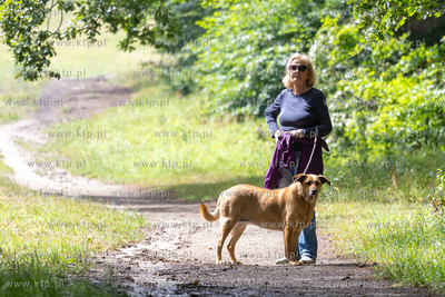 Sopot. Łysa Góra. Festiwal „Piano w naturze Sopot”....