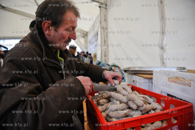 Gdansk. Targ Weglowy. XVII Wigilia dla ubogich, samotnych...