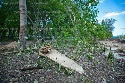 Gdynia Kolibki. Drzewa polamane przez burze.
19.05.2013
fot....