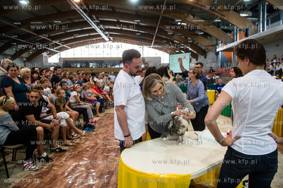 Hipodrom Sopot. Międzynarodoa Wystawa Kotow Rasowych...