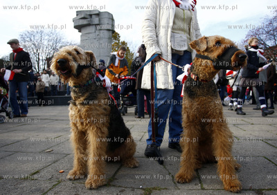 Gdansk. Dzien Niepodleglosci. Parada.
11.11.2008
fot....