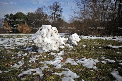 Gdansk. Park Reagana. Nz roztapiajace sie balwany.
27.02.2013
fot.Krzysztof...