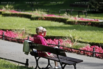 Park Oliwski. 29.08.2013 fot. Krzysztof Mystkowski...