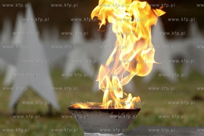 Rocznicowe obchody Powrotu Gdańska do Macierzy. Złożenie...