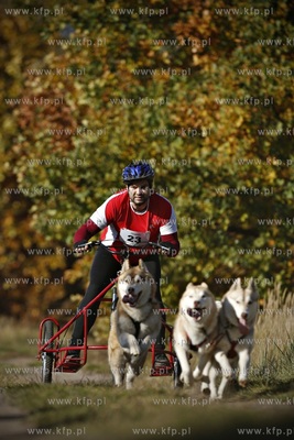 Gdańsk. Park Reagana. Pucharu Polski Psich Zaprzęgów...