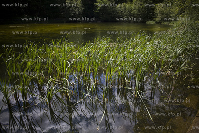 Sopot. Staw Nowowiejskiego, czyli tzw. Morskie Oko.
22.05.2017
fot....