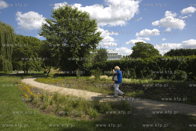 Gdańsk Wrzeszcz. Park nad Strzyżą.
07.08.2017
fot....