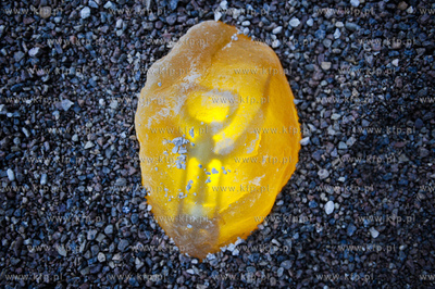 Gdansk. Ul. Szopy. Instalacja autorstwa Freda Hatta...