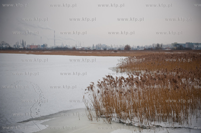 Gdansk. Martwa Wisla. Niskie temperatury utworzyly...