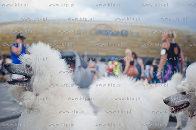 Gdansk. Teren przed stadionem PGE Arena. Miedzynarodowa...