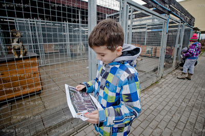 Gdansk. Schronisko dla bezdomych zwierzat Promyk. Akcja...