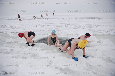 Kapiel gdanskich morsow na skutej lodem plazy w Jelitkowie....