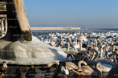 Sopot. Mrozna niedziela na plazy i molo w Sopocie....