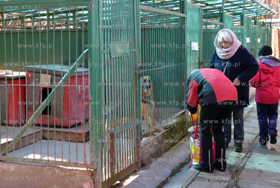 Gdynia. Ogolnopolskie Towarzystwo Ochrony Zwierzat...