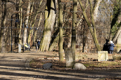 Park w Wojanowie w gminie wiejskiej Pruszcz Gdański....