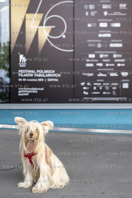 46. Festiwal Polskich Filmów Fabularnych w Gdyni....