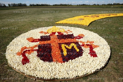 Mokry Dwor. Zulawski Tulipan. Z okolo jednego miliona...