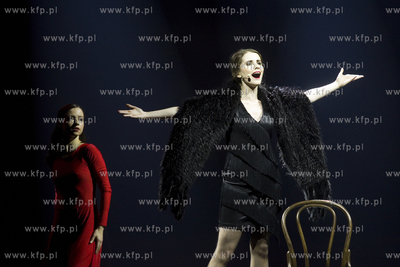 Francuska noc. Koncert sylwestrowy w Operze Bałtyckiej.
30.12.2017
fot....