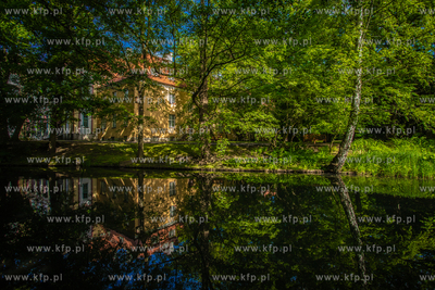 Park Oliwski.
11.06.2021
fot. Krzysztof Mystkowski...