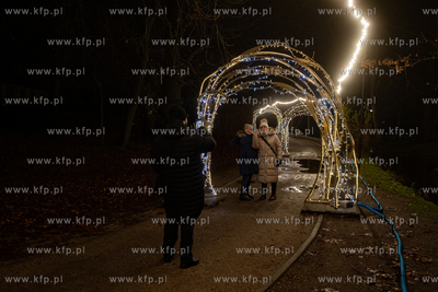 Iluminacje świąteczne w Parku Oliwskim. 05.12.2024...
