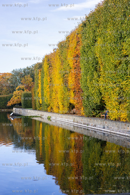 Gdańsk.  Jesienny Park Oliwski. 24.10.2023 /Fot. Anna...