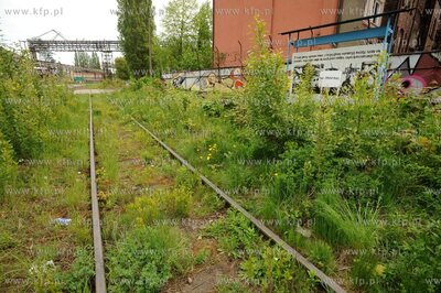 Miedzynarodowy Festiwal Sztuki Graffiti Graffest na...