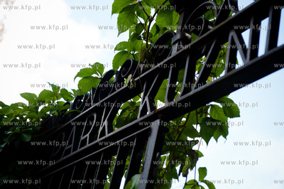 Park Kuzniczki  - zabytkowy, niewielki park w Gdansku...