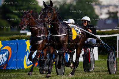 Wyscigi konne na sopockim hipodromie.
Nz wyscig klusakow
14.07.2013
fot....