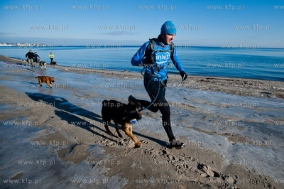 Gdynia. Polanka Redlowska. Pomorski Puchar Dogtrekkingu.
08.02.2014
fot....
