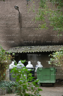 Gdansk. Podworze kamienicy przy ul. Dlugi Targ. Odnalezienie...