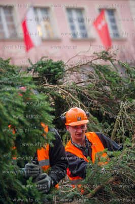 Gdansk. Dlugi Targ. Operacja stawiania swiatecznej...