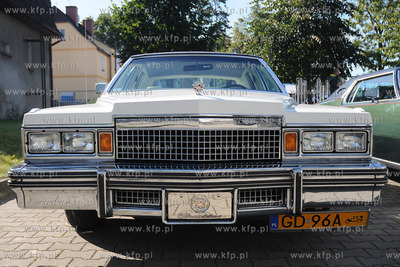 Trojmiejskie Targi Motoryzacyjne w halach wystawienniczych...