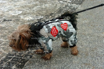 XVIII Wielka Orkiestra Swiatecznej Pomocy w Slupsku.
10.01.2010
Fot....