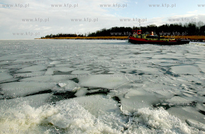 Szczecin. Wspolna akcja polskich ( Dzik, Lis, Zbik,...