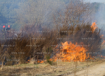 Gdansk. Groznego pozaru na terenie bylego poligonu...