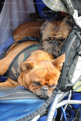 W Zespole Dworsko - Parkowym  w Gdyni Kolibkach odbyla...