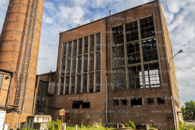 Botaniczny Pruszcz. Spacer badawczy śladem roślin...