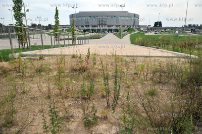 Hala sportowo - widowiskowa na granicy Gdanska i Sopotu...