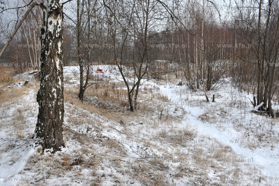 Gdansk Nowy Port. Tereny Szanca Zachodniego pomiedzy...