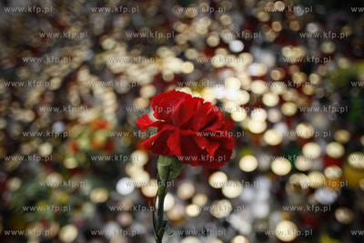 Sopot. Ul.  Armii Krajowej 55. Ludzie skladaja kwiaty...